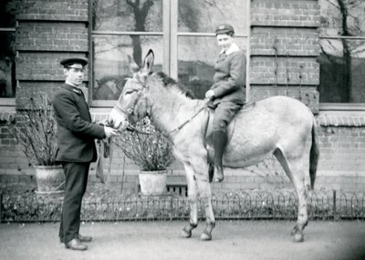 Een verzorger leidt een ezel, bereden door een jongen, London Zoo, juni 1913 door Frederick William Bond